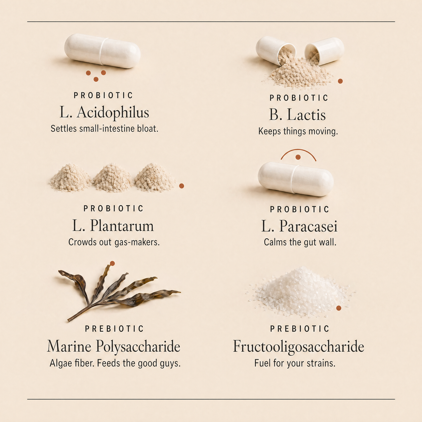 DeBloat Me Daily Synbiotic