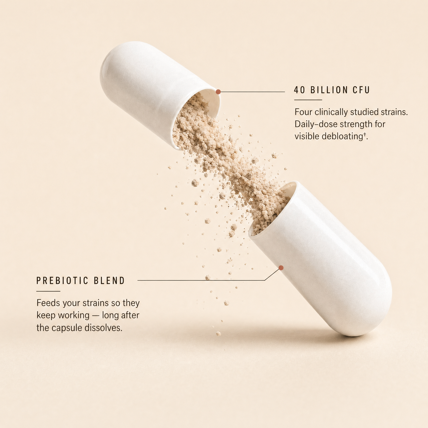 DeBloat Me Daily Synbiotic